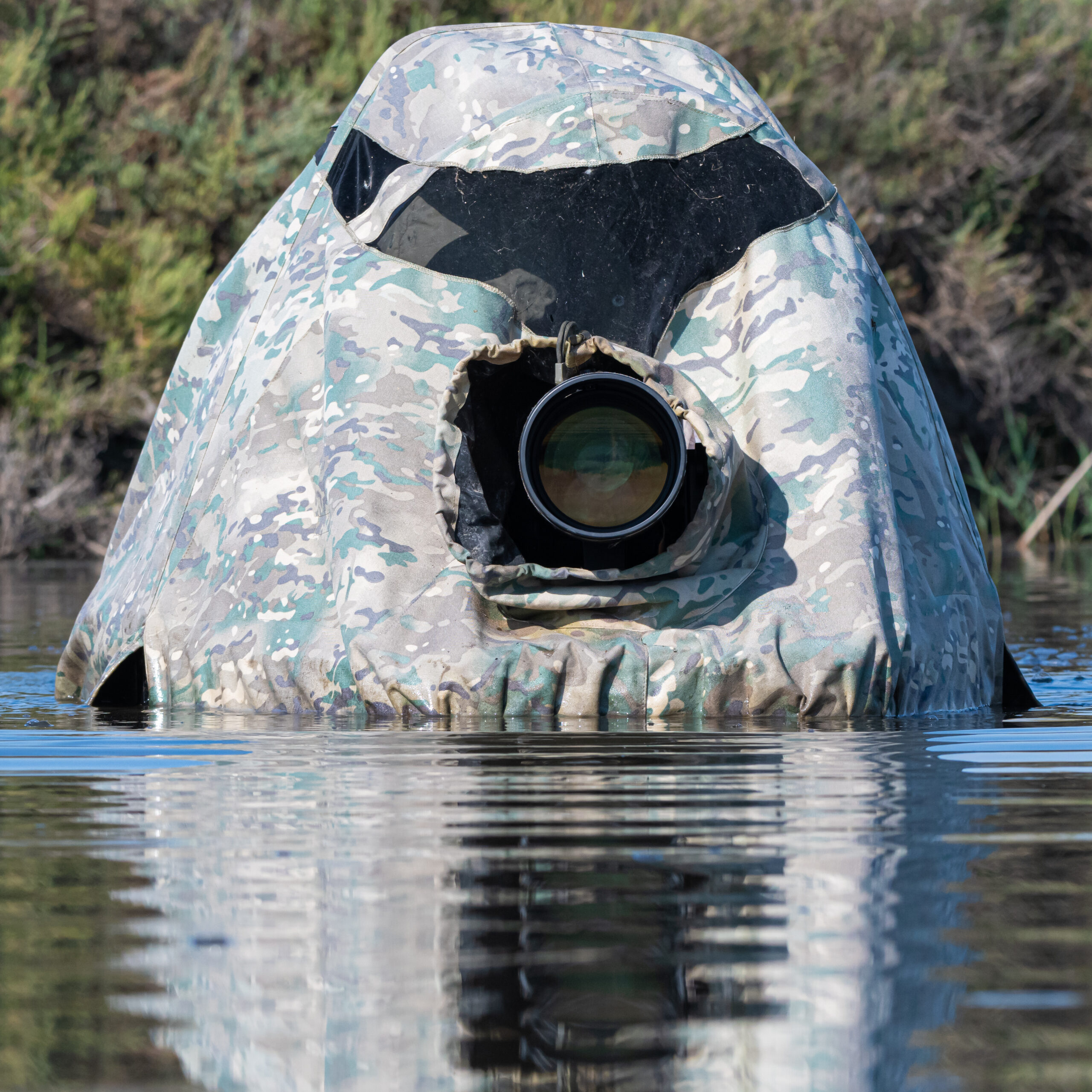 Read more about the article Affût flottant en Camargue